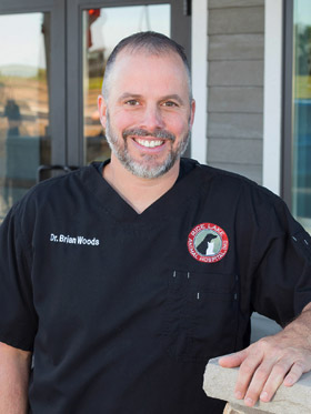 Dr. Brian Woods profile photo