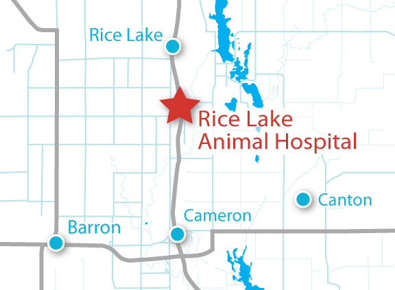 Rice Lake Animal Hospital map
